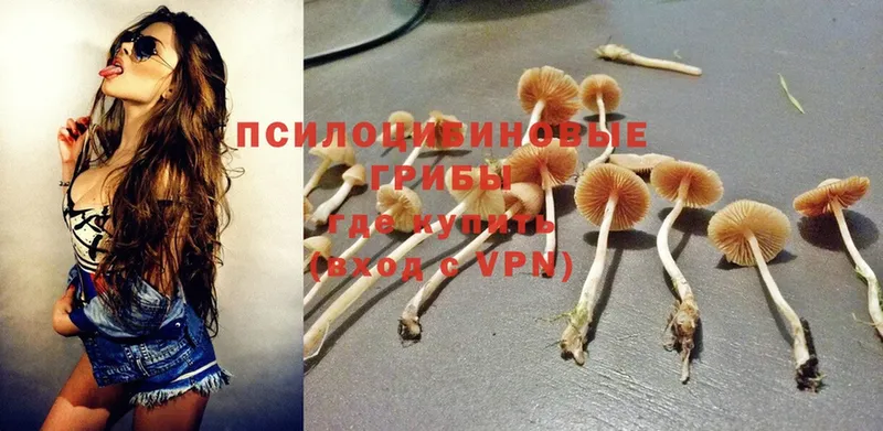 гидра ТОР  Чёрмоз  Галлюциногенные грибы Psilocybe 